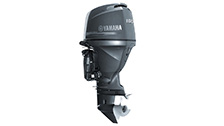 YAMAHA F100 DETL/DETX YAMAHA F100 DETL/DETX