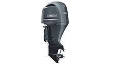 YAMAHA F300 BETX/BETU YAMAHA F300 BETX/BETU