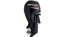 MERCURY F150 ELPT/EXLPT/CXL EFI MERCURY F150 ELPT/EXLPT/CXL EFI