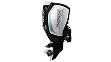 EVINRUDE G2 E250 LHO/LH/XH/XCH EVINRUDE G2 E250 LHO/LH/XH/XCH