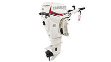 EVINRUDE E30 DTSL EVINRUDE E30 DTSL