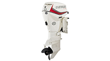 EVINRUDE E40 DPGL/DSL EVINRUDE E40 DPGL/DSL