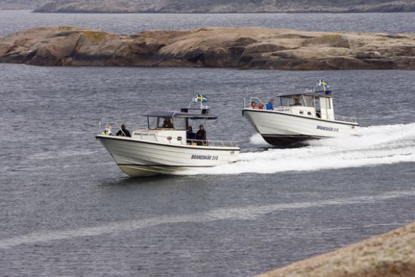 BRANDSKÄR 310 Fakta, bilder, prisstatistik, annonser, mm